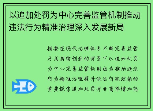 以追加处罚为中心完善监管机制推动违法行为精准治理深入发展新局 以追加处罚为中心完善监管机制推动违法行为精准治理深入发展新局